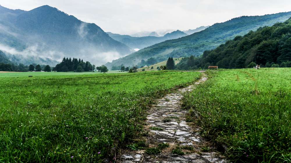 Winding path through a lush green field with mountains in the background