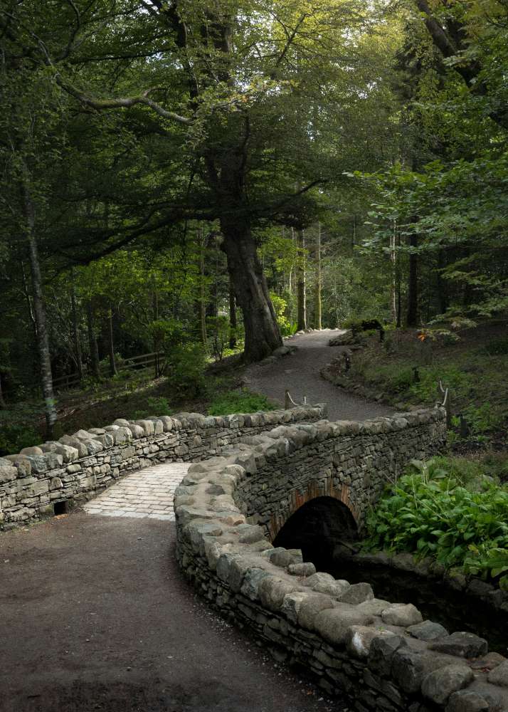 Winding path through a forest with stone walls and trees